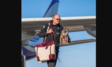Haaland sorprende al regresar a Noruega con peculiar mapache disecado