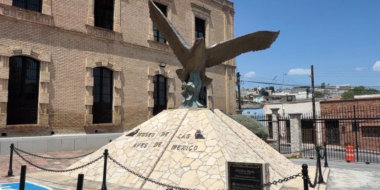 Invita Museo de las Aves a curso de verano