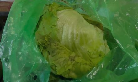 Descartan comerciantes de la Central de Abastos presencia del   virus Cyclospora en lechuga que se comercializa en Saltillo