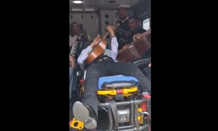 Mariachis aparecen cantando ‘Llamado de emergencia’ de Daddy Yankee en una ambulancia (video)