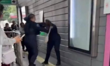 Mujeres policía se dan con todo en pleno Metrobus (video)