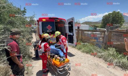 Saltillo: Mujer resulta lesionada tras caer de motocicleta por evitar a un perro