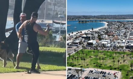 Dos hombres y sus perros se agarran a golpes en San Diego