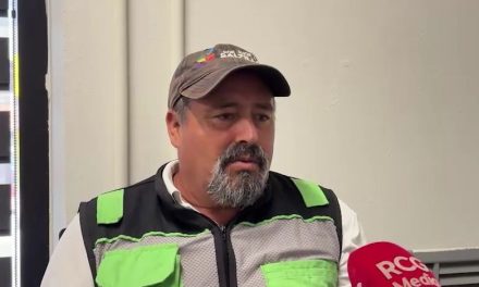 Tras muerte por ataque de abejas, emiten recomendaciones para evitar riesgos en Saltillo