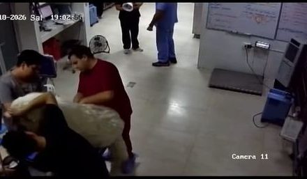 Veterinaria difunde videos ante polémica por el caso ‘Rocky’