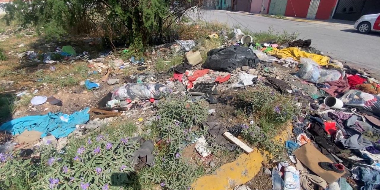 Suman más de 152 multas mediante el programa ‘Tómala Cochino’