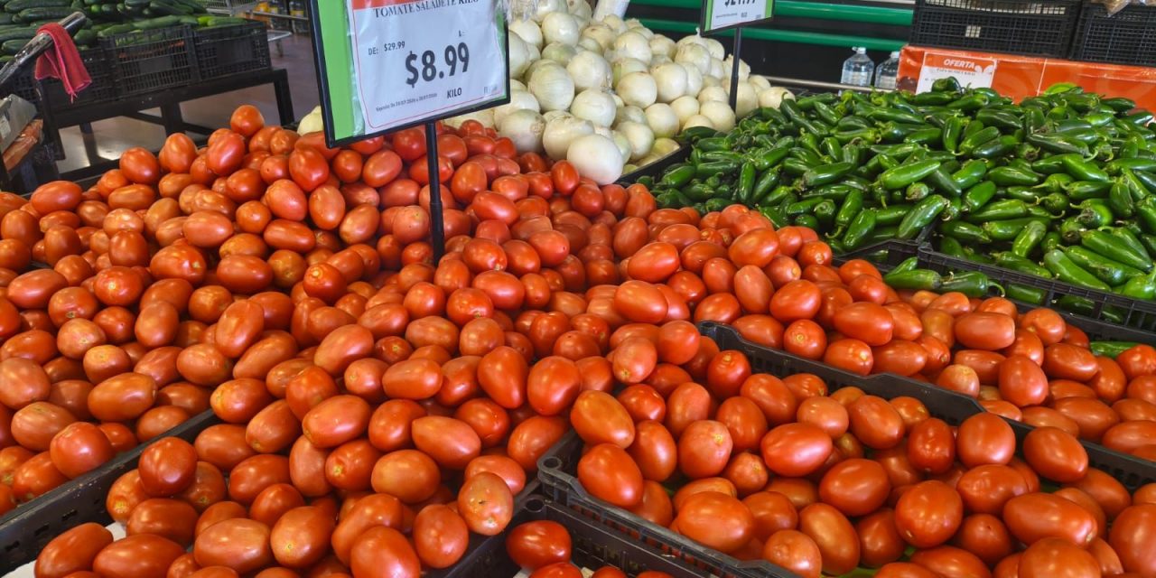 Kilo de tomate baja de manera impresionante en Saltillo