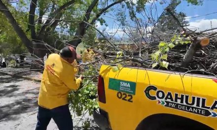 Brigadistas en Arteaga realizan acciones de limpieza