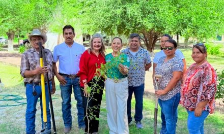 Plantan más de 100 mil árboles en los 38 municipios con la campaña ‘Verde Verde Coahuila’