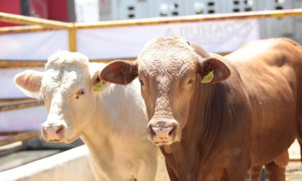 Coahuila mantiene 24 brigadas contra el gusano barrenador