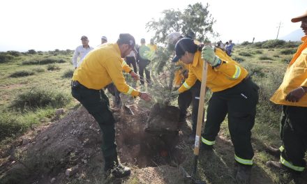 DIF Torreón entrega sillas de ruedas y andadores a la Casa del Anciano