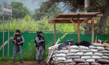 Estados Unidos reanuda inspecciones de aguacate en Michoacán