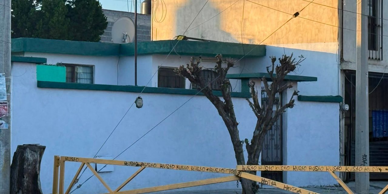 Saltillo: Vecino poda su árbol y deja las ramas sobre la banqueta en Valle Alto