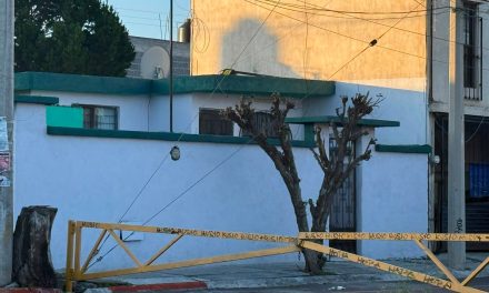 Saltillo: Vecino poda su árbol y deja las ramas sobre la banqueta en Valle Alto