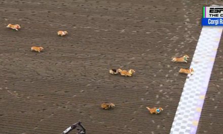 ¡Reina de la velocidad! ‘GG’ se corona campeona del Corgi Racing 2026