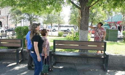 El árbol de la esperanza en Monclova reunirá fotos de personas desaparecidas