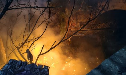Se incendia arroyo en la colonia Anáhuac