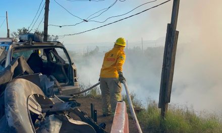 Se incendia un arroyo al oriente de Saltillo