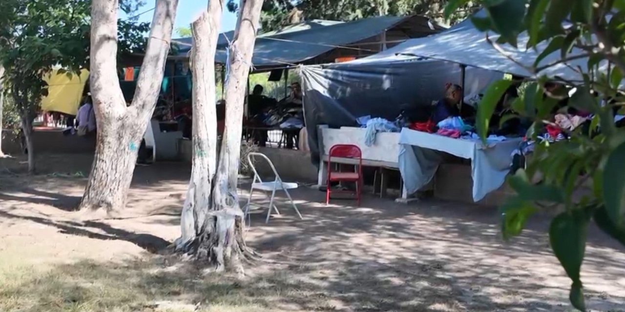 Invaden jardineras los comerciantes de la plaza de la Madre