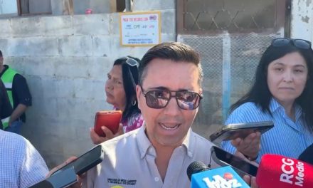 Las compensaciones ambientales deberán de traducirse en mayor arbolado