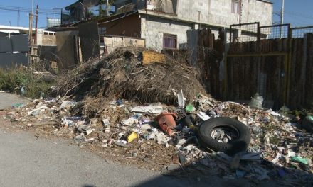 Solicitan limpieza de terreno en la Ampliación Mirador en Ramos Arizpe