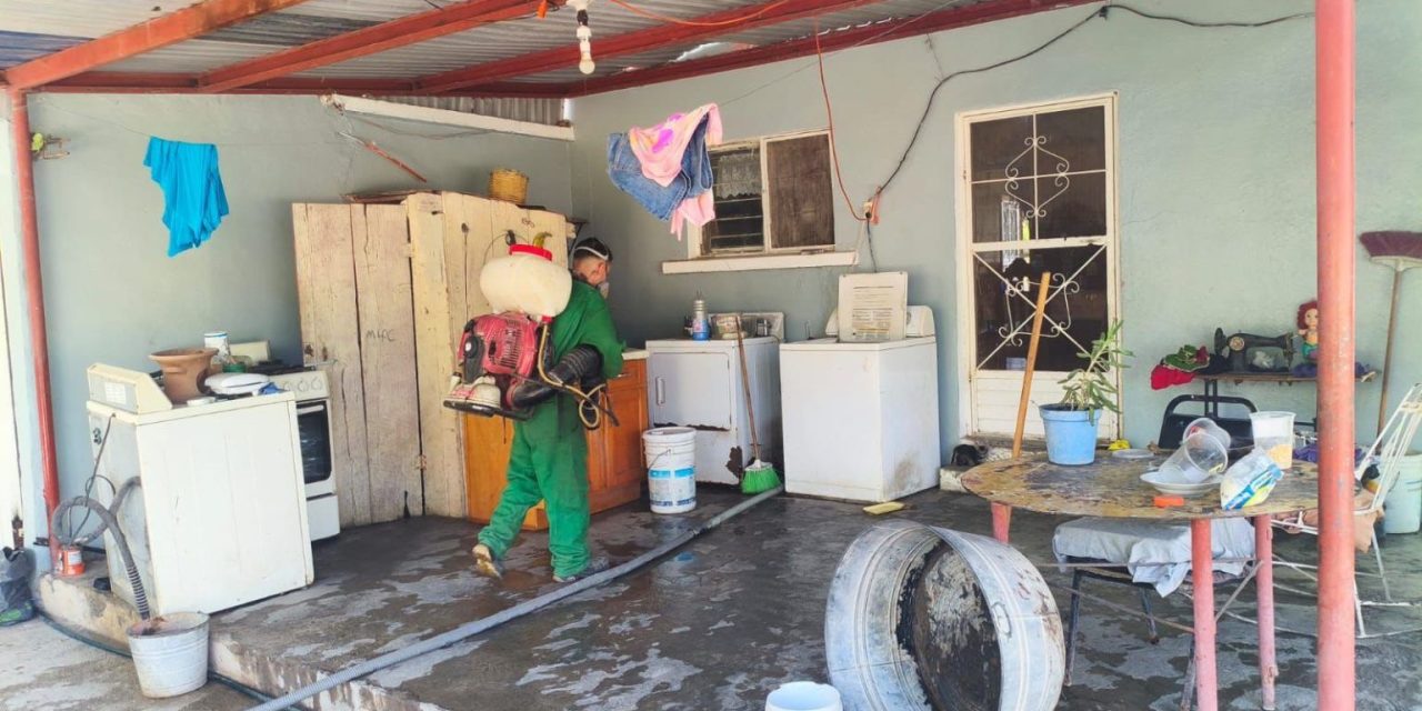 Mantienen acciones contra dengue y rickettsia en la región Carbonífera