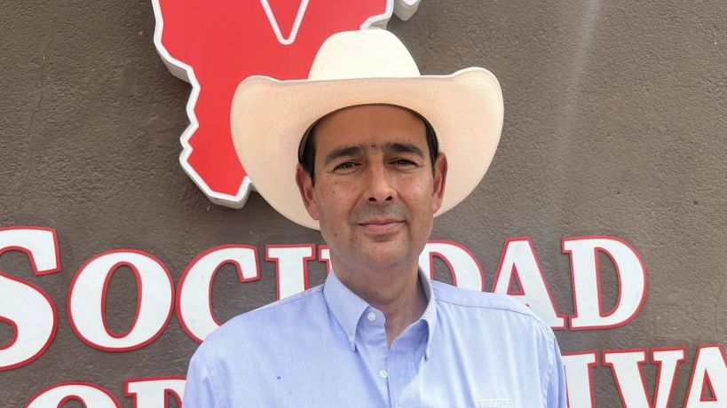 Avanza el combate contra el gusano barrenador en la región
