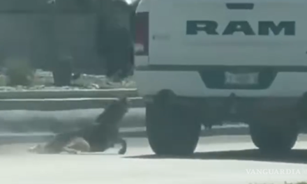 Graban a camioneta arrastrando a un perro en Acuña; dueño afirma que fue un accidente