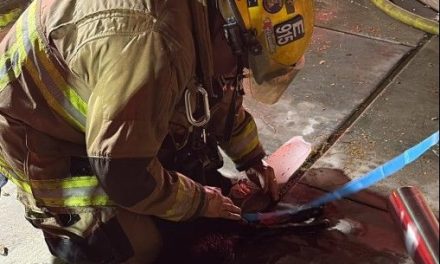 Bomberos de Phoenix salvan la vida de dos perros reanimándolos con oxígeno tras un voraz incendio residencial