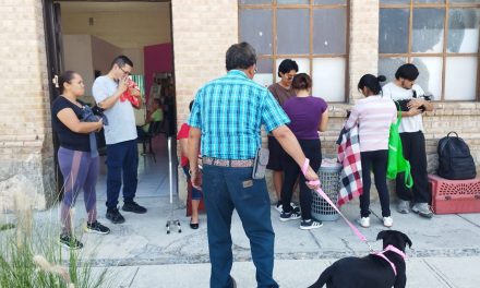 Realizan esterilizaciones durante campaña de ‘Salud y Bienestar Animal’ en Ramos Arizpe