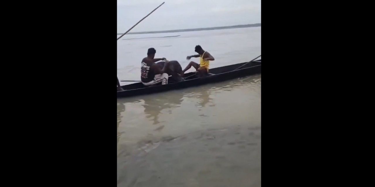 Pescadores rescatan a un bebé elefante arrastrado por la corriente de un río en la India y logran reunirlo con su madre