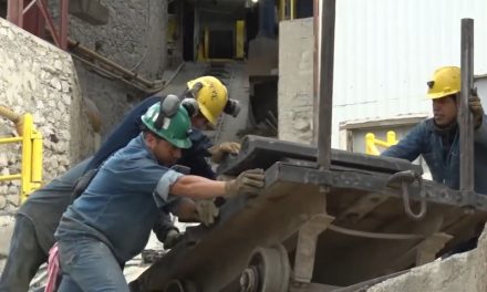 En riesgo subasta de AHMSA