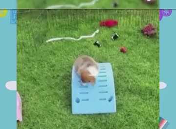 La actitud con la que hay que empezar el día