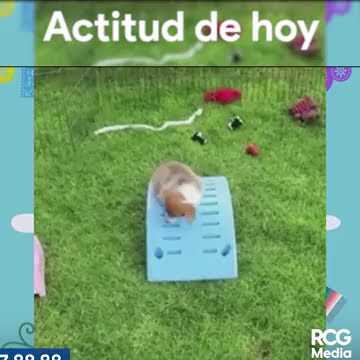 La actitud con la que hay que empezar el día