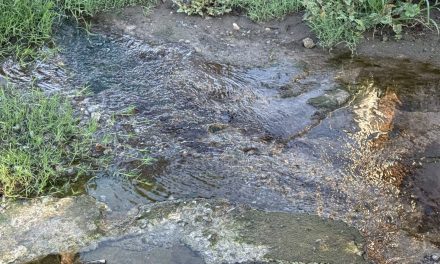 Reportan fuga de agua a la entrada de la Ciudad Deportiva