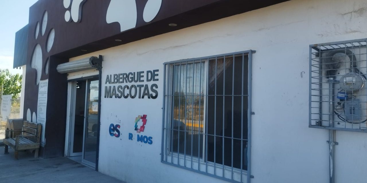 Detectan dos posibles casos de gusano barrenador en Ramos Arizpe