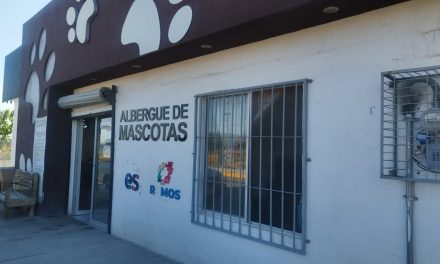 Detectan dos posibles casos de gusano barrenador en Ramos Arizpe
