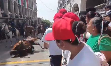 Agente de la Policía Montada sufre aparatosa caída de su caballo durante el Desfile Cívico-Militar en Cuernavaca