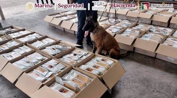Localizan más de mil kilos de coca ocultos en bolsas de café