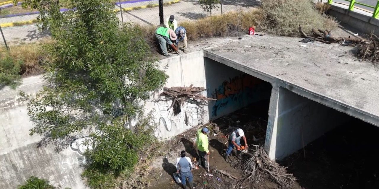 Impulsa el alcalde de Saltillo, Javier Díaz reforestación y limpieza de arroyos