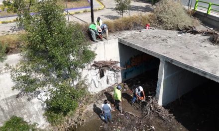Impulsa el alcalde de Saltillo, Javier Díaz reforestación y limpieza de arroyos