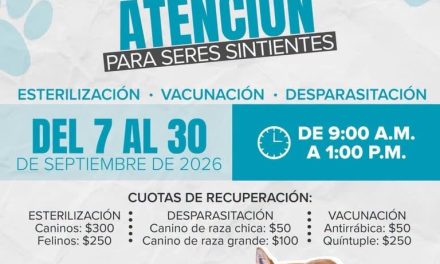 Siguen jornadas de atención para seres sintientes en Saltillo