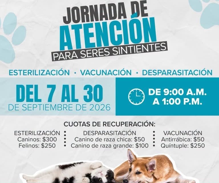 Siguen jornadas de atención para seres sintientes en Saltillo