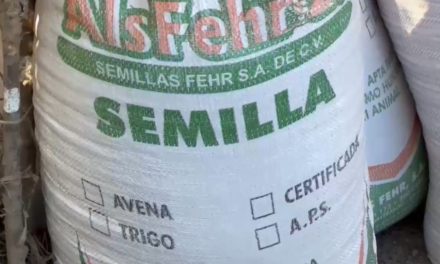 Pretenden ampliar en Arteaga los apoyos a sus agricultores