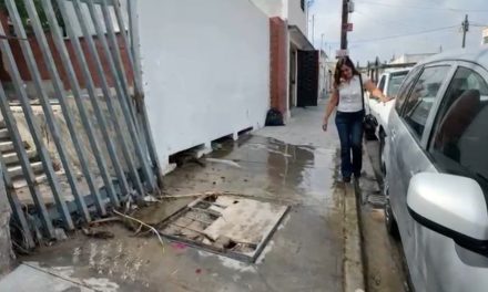 Provoca brote de agua desperdicio de cientos de litros en la calle Manuel Doblado