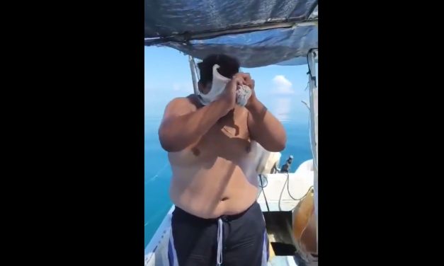 Un pulpo se aferra al rostro y cuello de un pescador en pleno mar y desata momentos de angustia y risas