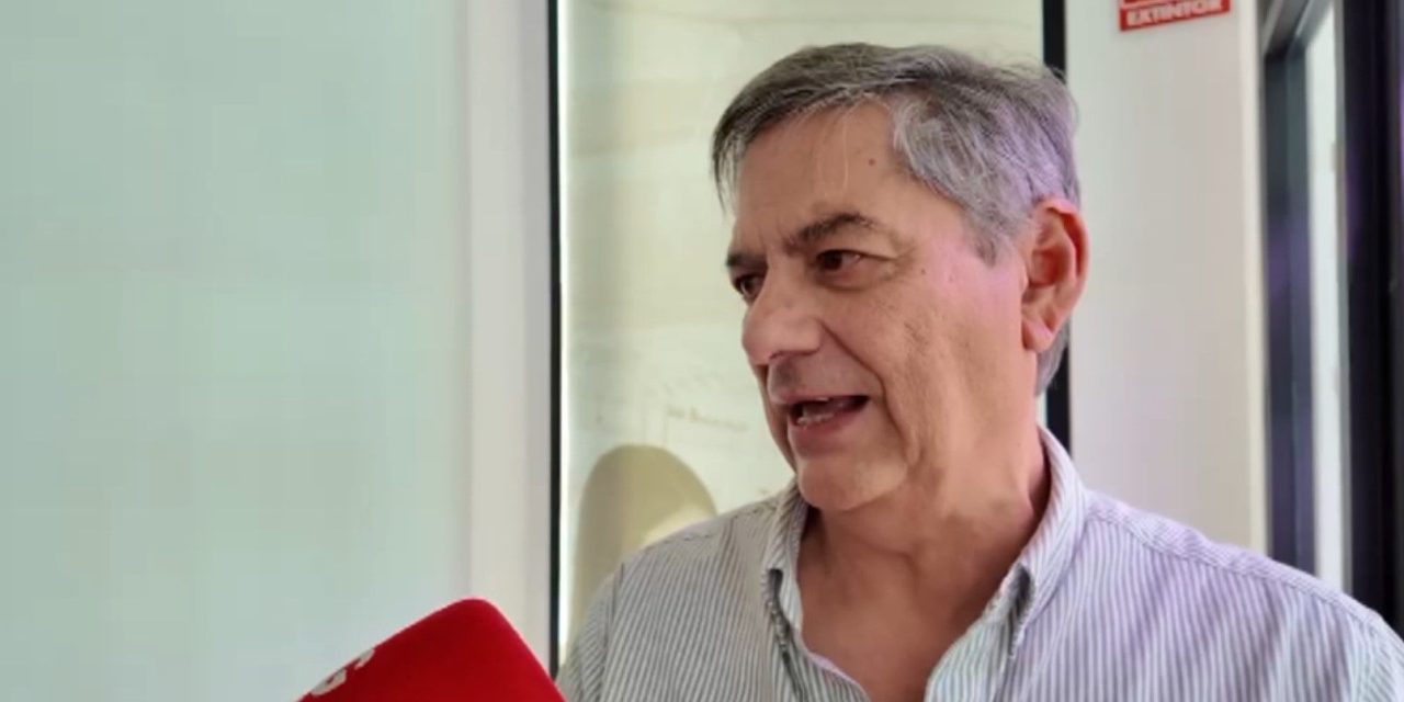 ¿Qué hacer ante la mordedura de una serpiente?