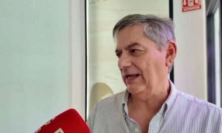 ¿Qué hacer ante la mordedura de una serpiente?