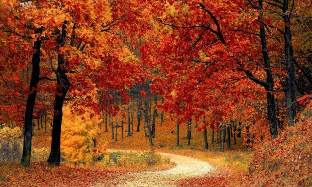 El otoño llegará a México este 22 de septiembre: esto cambiará con el equinoccio
