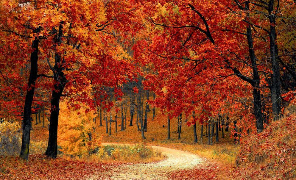 El otoño llegará a México este 22 de septiembre: esto cambiará con el equinoccio